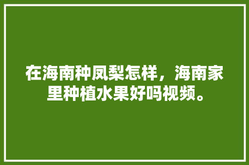 在海南种凤梨怎样，海南家里种植水果好吗视频。