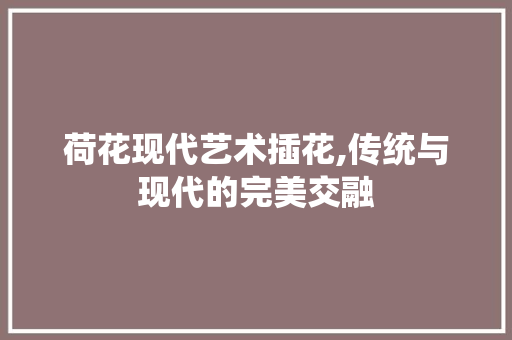 荷花现代艺术插花,传统与现代的完美交融 土壤施肥