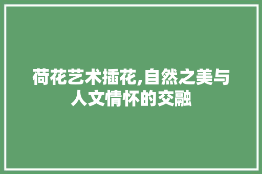 荷花艺术插花,自然之美与人文情怀的交融 水果种植