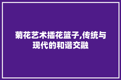 菊花艺术插花篮子,传统与现代的和谐交融 畜牧养殖