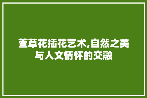 萱草花插花艺术,自然之美与人文情怀的交融 水果种植