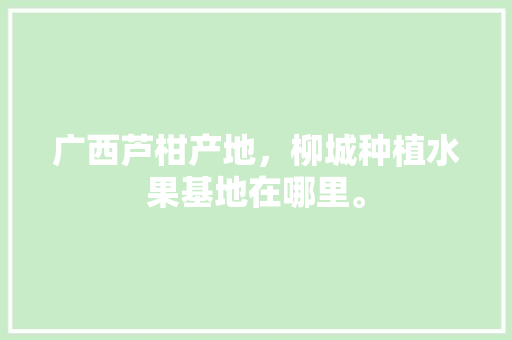 广西芦柑产地，柳城种植水果基地在哪里。 水果种植