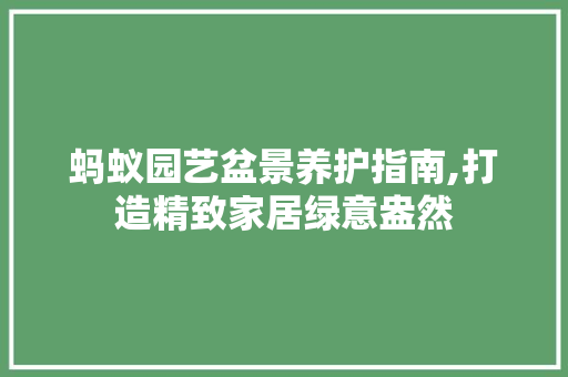 蚂蚁园艺盆景养护指南,打造精致家居绿意盎然 蔬菜种植