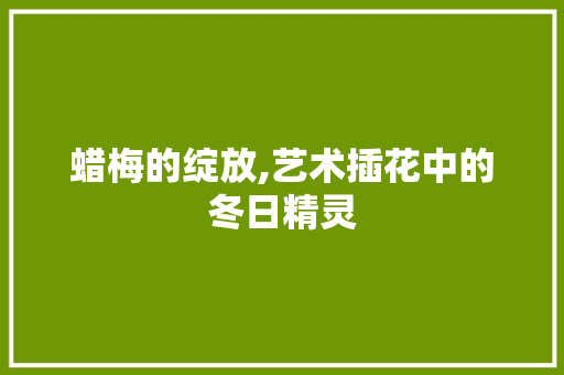 蜡梅的绽放,艺术插花中的冬日精灵 水果种植