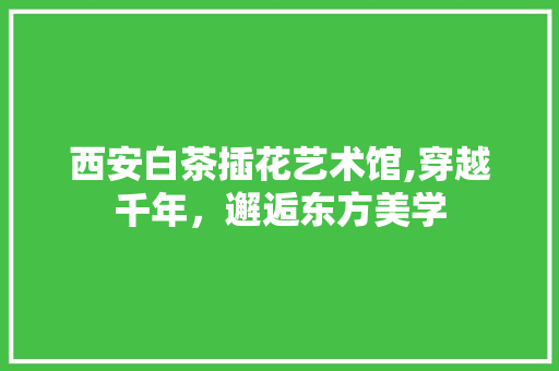 西安白茶插花艺术馆,穿越千年，邂逅东方美学 土壤施肥