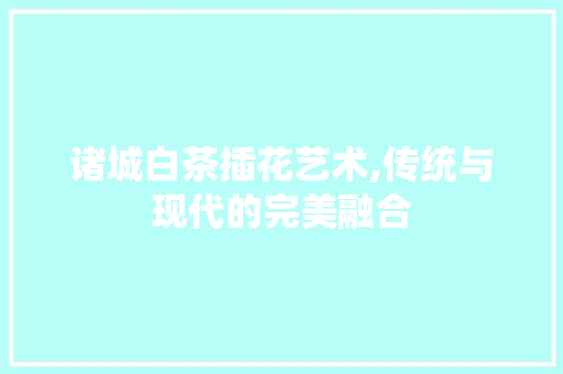 诸城白茶插花艺术,传统与现代的完美融合 土壤施肥