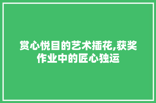 赏心悦目的艺术插花,获奖作业中的匠心独运 土壤施肥