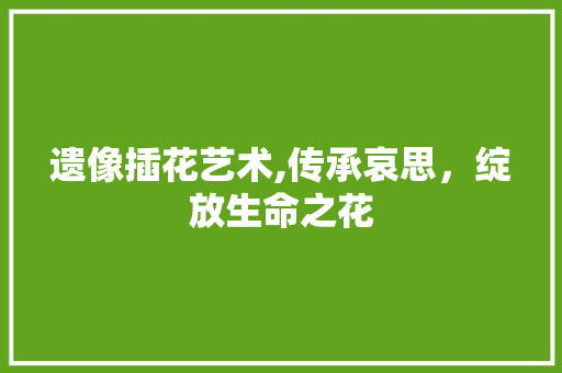 遗像插花艺术,传承哀思，绽放生命之花 土壤施肥