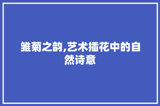 雏菊之韵,艺术插花中的自然诗意 土壤施肥