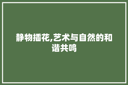 静物插花,艺术与自然的和谐共鸣 蔬菜种植