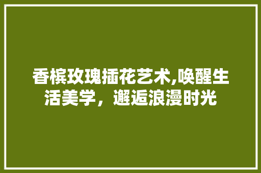 香槟玫瑰插花艺术,唤醒生活美学，邂逅浪漫时光 水果种植