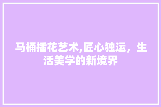 马桶插花艺术,匠心独运，生活美学的新境界 土壤施肥