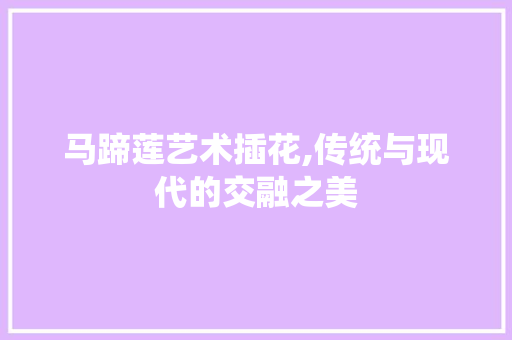 马蹄莲艺术插花,传统与现代的交融之美 家禽养殖