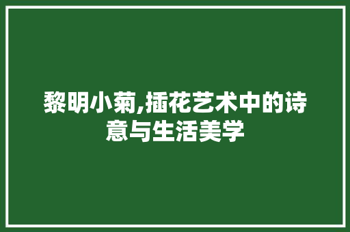 黎明小菊,插花艺术中的诗意与生活美学 水果种植