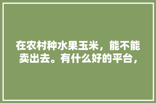 在农村种水果玉米，能不能卖出去。有什么好的平台，水果玉米合作种植售后方案。