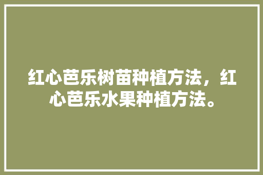 红心芭乐树苗种植方法，红心芭乐水果种植方法。 土壤施肥