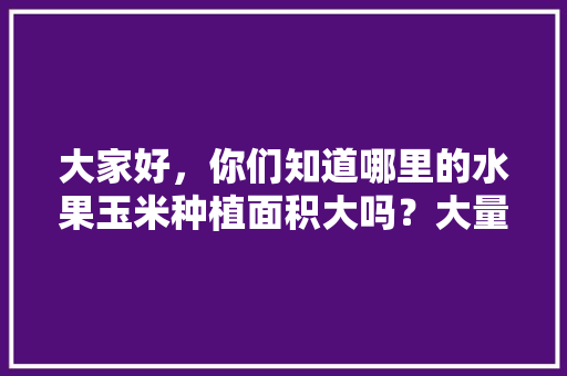 大家好，你们知道哪里的水果玉米种植面积大吗？大量需要，哪里种植水果玉米最多。