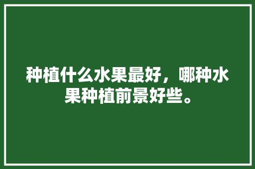 种植什么水果最好，哪种水果种植前景好些。 水果种植