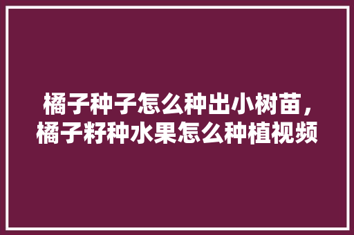 橘子种子怎么种出小树苗，橘子籽种水果怎么种植视频。