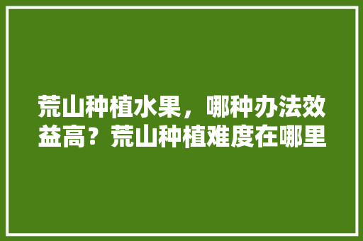 荒山种植水果，哪种办法效益高？荒山种植难度在哪里，种植水果的视频。