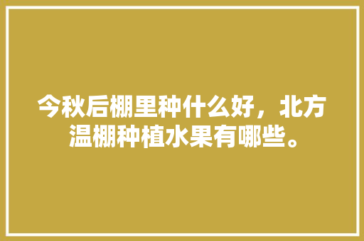 今秋后棚里种什么好，北方温棚种植水果有哪些。