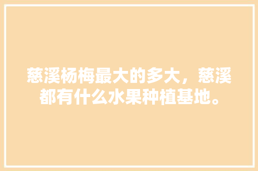 慈溪杨梅最大的多大，慈溪都有什么水果种植基地。 蔬菜种植