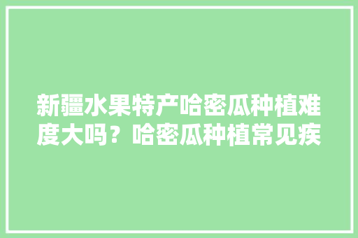 新疆水果特产哈密瓜种植难度大吗？哈密瓜种植常见疾病有哪些，新疆种植水果的有利自然条件。 蔬菜种植