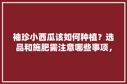 袖珍小西瓜该如何种植？选品和施肥需注意哪些事项，水果种植选品要求有哪些。 水果种植