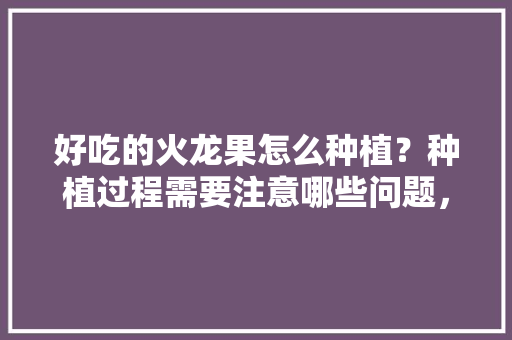 好吃的火龙果怎么种植？种植过程需要注意哪些问题，怎样种植热带水果树。 蔬菜种植