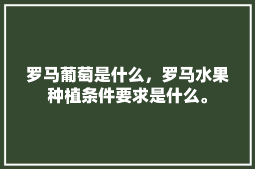 罗马葡萄是什么，罗马水果种植条件要求是什么。 水果种植