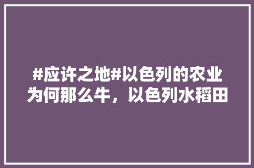 #应许之地#以色列的农业为何那么牛，以色列水稻田种植水果有哪些。 水果种植