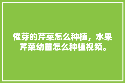 催芽的芹菜怎么种植，水果芹菜幼苗怎么种植视频。 家禽养殖