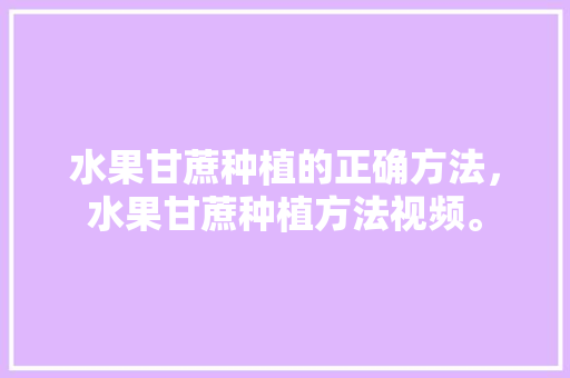 水果甘蔗种植的正确方法，水果甘蔗种植方法视频。 畜牧养殖