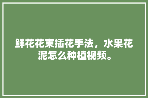 鲜花花束插花手法，水果花泥怎么种植视频。 土壤施肥