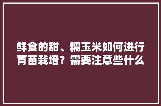 鲜食的甜、糯玉米如何进行育苗栽培？需要注意些什么，微甜水果种植技术视频。 蔬菜种植