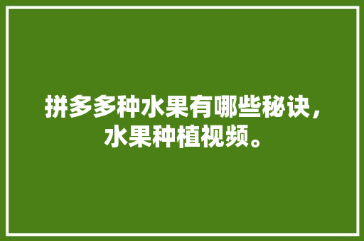 拼多多种水果有哪些秘诀，水果种植视频。 水果种植