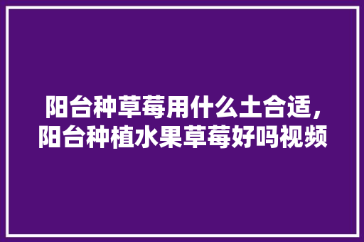 阳台种草莓用什么土合适，阳台种植水果草莓好吗视频。 畜牧养殖