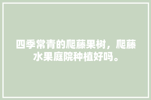 四季常青的爬藤果树，爬藤水果庭院种植好吗。 土壤施肥