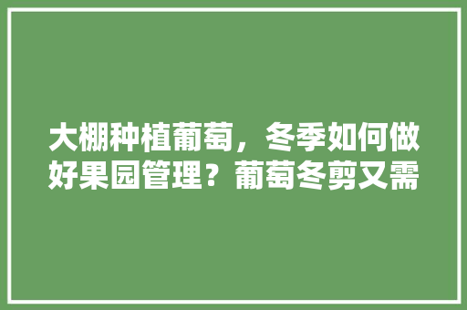 大棚种植葡萄，冬季如何做好果园管理？葡萄冬剪又需要注意什么，种植水果大棚冬天可以种吗。 家禽养殖