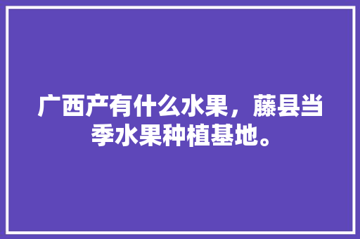 广西产有什么水果，藤县当季水果种植基地。 土壤施肥