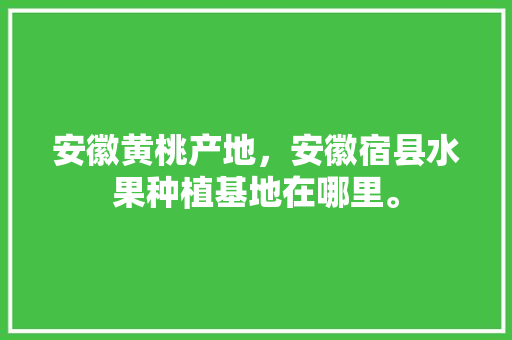 安徽黄桃产地，安徽宿县水果种植基地在哪里。 水果种植