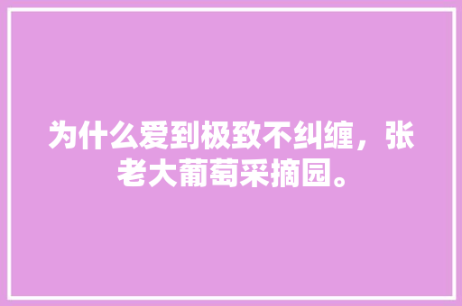 为什么爱到极致不纠缠，张老大葡萄采摘园。 蔬菜种植