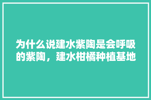 为什么说建水紫陶是会呼吸的紫陶，建水柑橘种植基地。 畜牧养殖