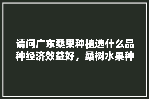 请问广东桑果种植选什么品种经济效益好，桑树水果种植技术视频。 畜牧养殖