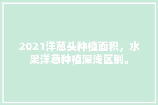 2021洋葱头种植面积，水果洋葱种植深浅区别。 水果种植