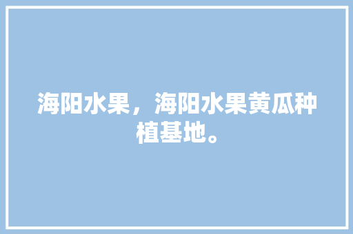 海阳水果，海阳水果黄瓜种植基地。 土壤施肥