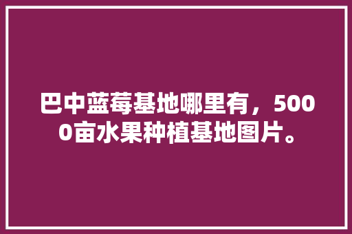 巴中蓝莓基地哪里有，5000亩水果种植基地图片。 蔬菜种植