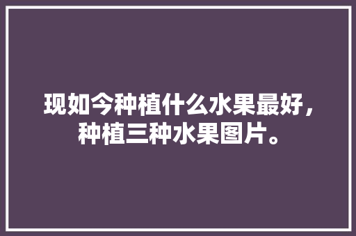 现如今种植什么水果最好，种植三种水果图片。 蔬菜种植