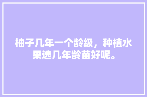 柚子几年一个龄级，种植水果选几年龄苗好呢。 水果种植