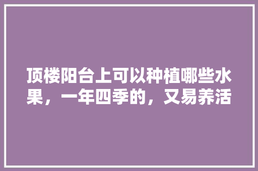 顶楼阳台上可以种植哪些水果，一年四季的，又易养活的，阳台种植水果蔬菜图片。 畜牧养殖